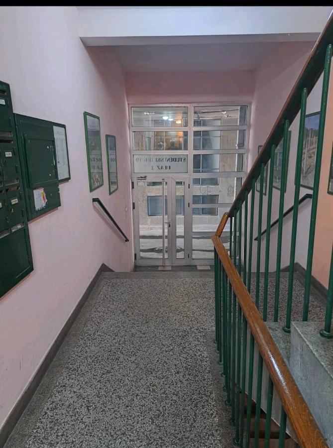 בלגרד Apartman Milica 2023 מראה חיצוני תמונה